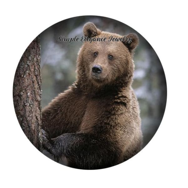 Brown Bear Snap Charm 20mm for Snap Jewelry - Snap Jewelry