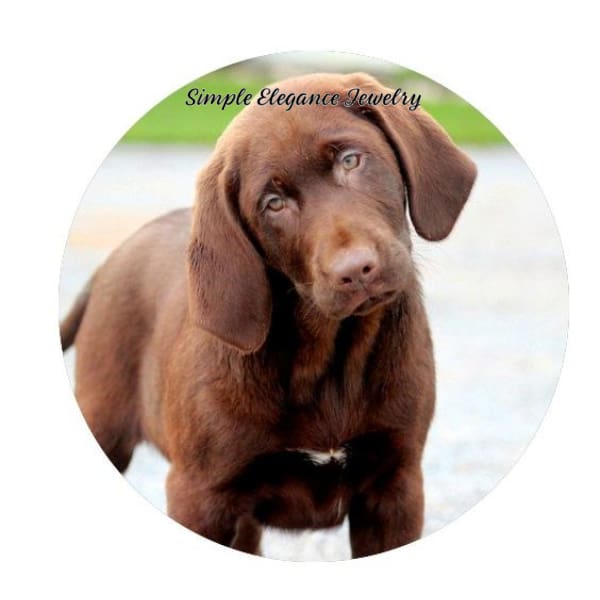 Brown Labrador Dog Snap 20mm - Snap Jewelry
