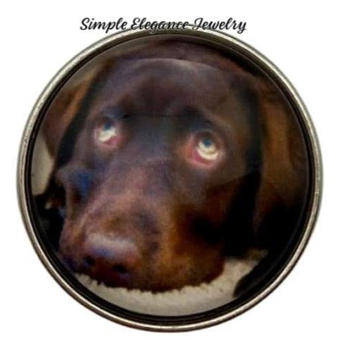 Brown Dog Snap Charm 20mm - Snap Jewelry