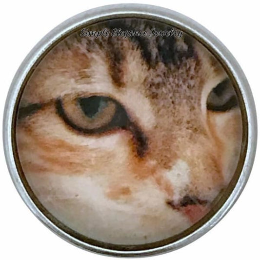 Cat Eye Snap 20mm for Snap Charm Jewelry - Snap Jewelry