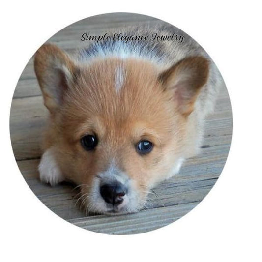 Corgi Puppy Snap Charm 20mm for Snap Jewery - Snap Jewelry