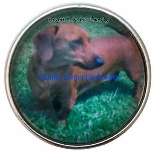 Dachshund Dog Snap 20mm - Snap Jewelry