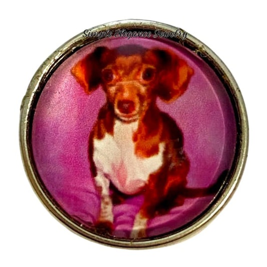 Dachshund Dog Snap Charm 20mm - Snap Jewelry