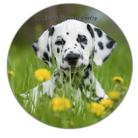 Dalmatian Dog Snap Charm 20mm - Snap Jewelry
