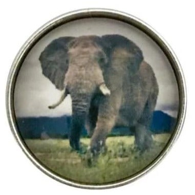 Elephant Snap Charm 20mm for Snap Jewelry - Snap Jewelry