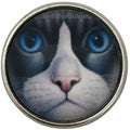 Gray Cat Face-Blue Eyes Snap Charm 20mm for Snap Jewelry - Snap Jewelry