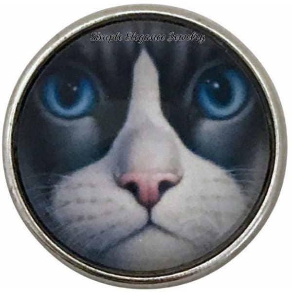 Gray Cat Face-Blue Eyes Snap Charm 20mm for Snap Jewelry - Snap Jewelry