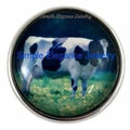 Holstein Cow 20mm Snap for Snap Charm Jewelry - Snap Jewelry