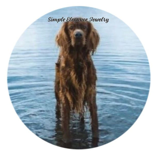 Irish Setter Standing In Water Snap Charm 20mm - Snap Jewelry