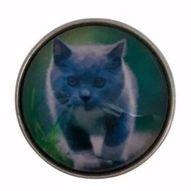 Kitten Snap Charm 20mm for Snap Jewelry - Snap Jewelry