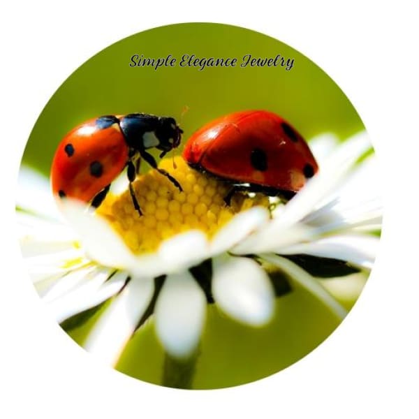 Lady Bug Daisy Snap Charm 20mm - Snap Jewelry