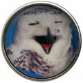 Laughing Owl Snap 20mm for Snap Jewelry - Snap Jewelry