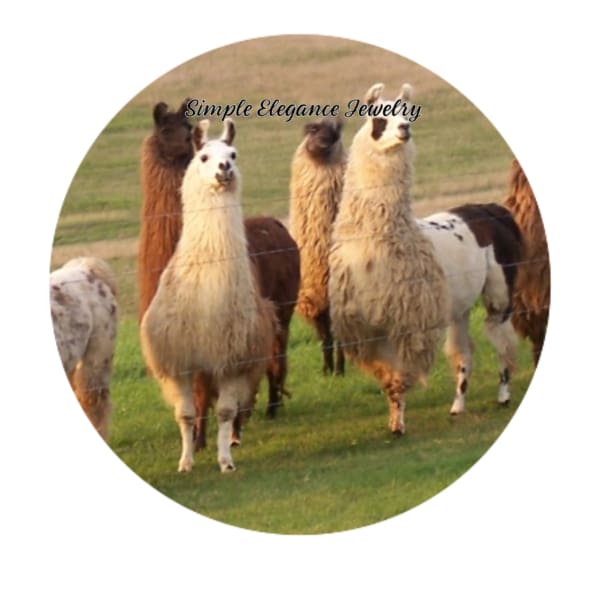 Llama Snap Charm 20mm for Snap Jewelry - Snap Jewelry