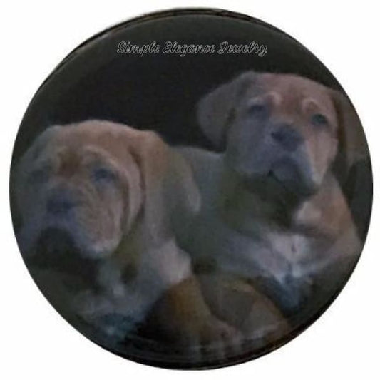 Mastiff Puppies Snap Charm 20mm for Snap Jewelry - Snap Jewelry