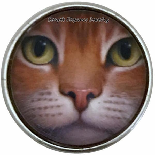 Orange Tabby Cat Face-Green Eyes Snap Charm - Snap Jewelry