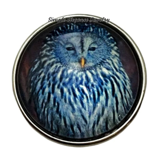 Owl Snap Charm 20mm - Snap Jewelry