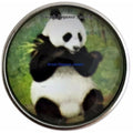 Panda Snap 20mm for Snap Jewelry - Snap Jewelry