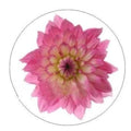 Pink Flower 20mm for Snap Charm Jewelry - Snap Jewelry