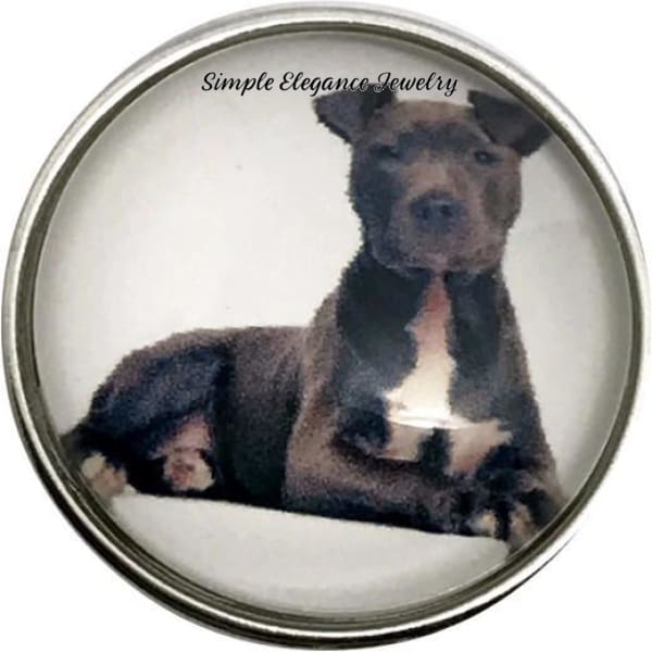 Pit Bull Dog Snap Charm 20mm for Snap Jewelry - Snap Jewelry