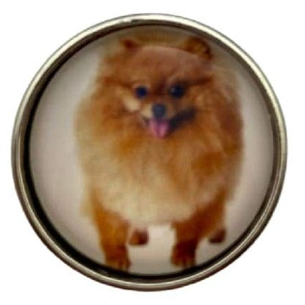 Pomeranian Dog Snap Charm 20mm - Snap Jewelry
