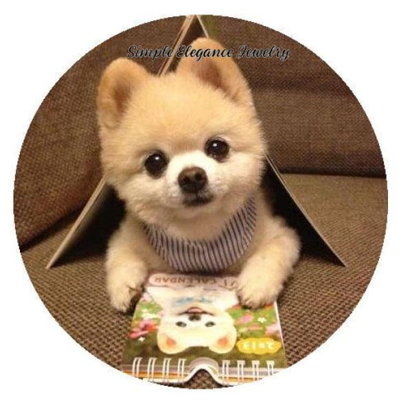 Pomeranian Teddy Bear Dog Snap 20mm-Simple Eleganace Jewelry - Snap Jewelry