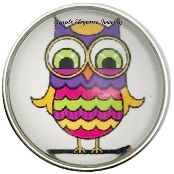Rainbow Owl Snap 20mm for Snap Jewelry - Snap Jewelry