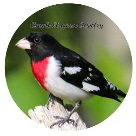 Rose Breasted Grosbeak Bird Snap 20mm for Snap Charm Jewelry - Snap Jewelry