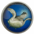 Sea Turtle Snap Collection 20mm (9 Choices) For Snap Jewelry - 101 - Snap Jewelry