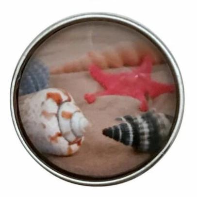 Seashells 20mm Snap-Snap Charm Jewelry - Snap Jewelry