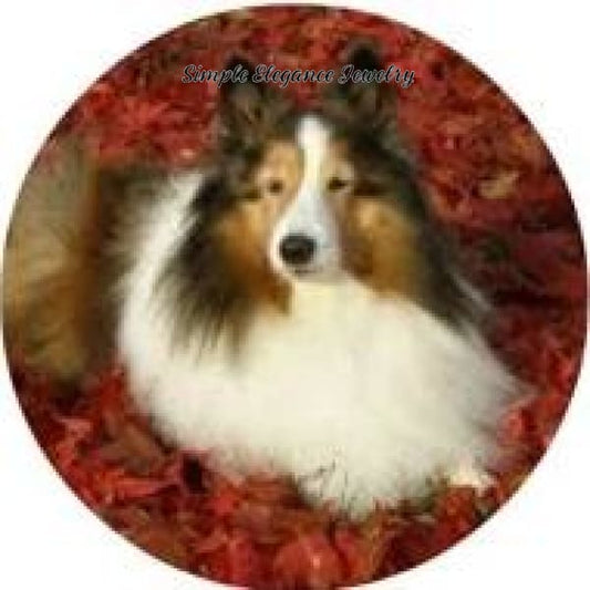 Sheltie Collie Dog Snap 20mm for Snap Jewelry - Snap Jewelry