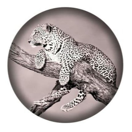 Snow Leopard Snap Charm for Snap Charm Jewelry 20mm - Snap Jewelry