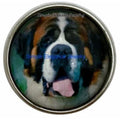 St Bernard Dog Charm 20mm for Snap Jewelry - Snap Jewelry