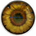 Sunflower Snap 20mm for Snap Jewelry - Snap Jewelry