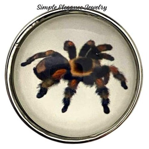 Tarantula Spider Halloween Snap Charm 20mm - Snap Jewelry
