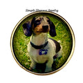 Tri Colored Dachshund Dog Snap 20mm - Snap Jewelry