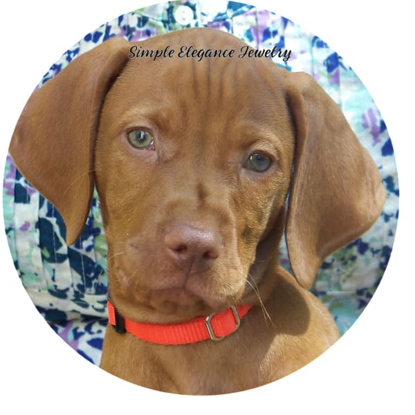 Vizsla Dog Snap Charm 20mm - Snap Jewelry