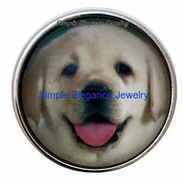 Yellow Labrador Puppy Snap 20mm - Snap Jewelry