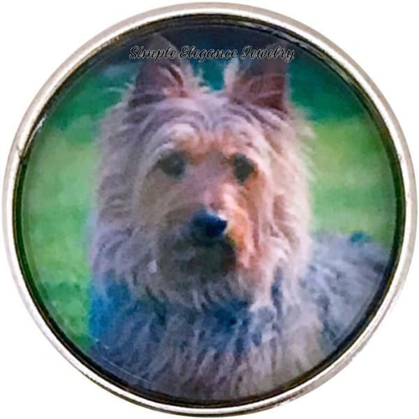 Yorkie Dog Snap Charm 20mm for Snap Jewelry - Snap Jewelry