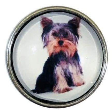 Yorkie Dog Snap Charm for Snap Charm Jewelry 20mm - Snap Jewelry