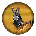 Zebra Snap Charm 20mm for Snap Charm Jewelry - Snap Jewelry