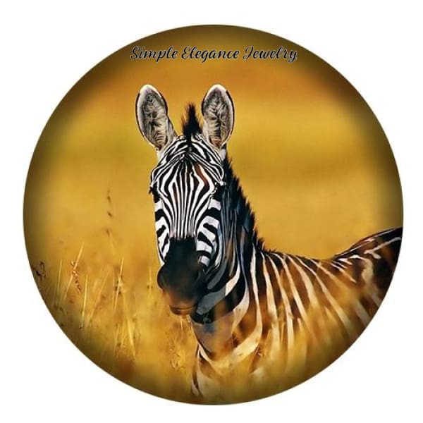 Zebra Snap Charm 20mm for Snap Charm Jewelry - Snap Jewelry